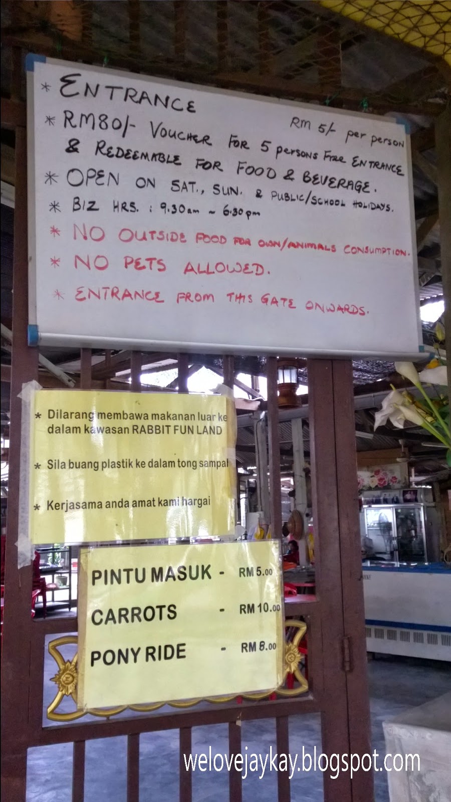 Broga Rabbit Fun Land (Rabbit Farm in Semenyih, Malaysia) 马来西亚兔子乐园